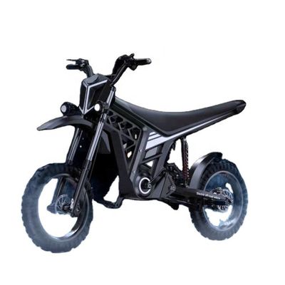 60V 20Ah Frente trasero Freno de disco Citycoco Scooter eléctrico Off Road Motocicleta eléctrica